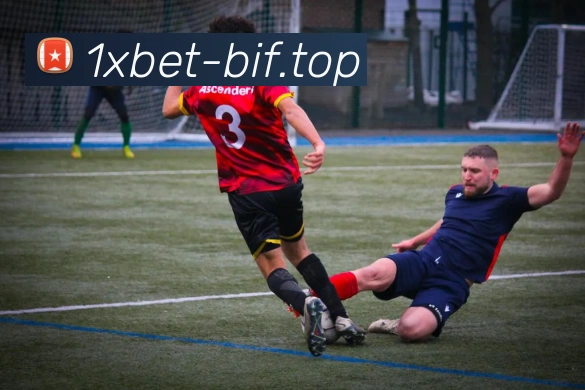 1xbet官网平台生态图